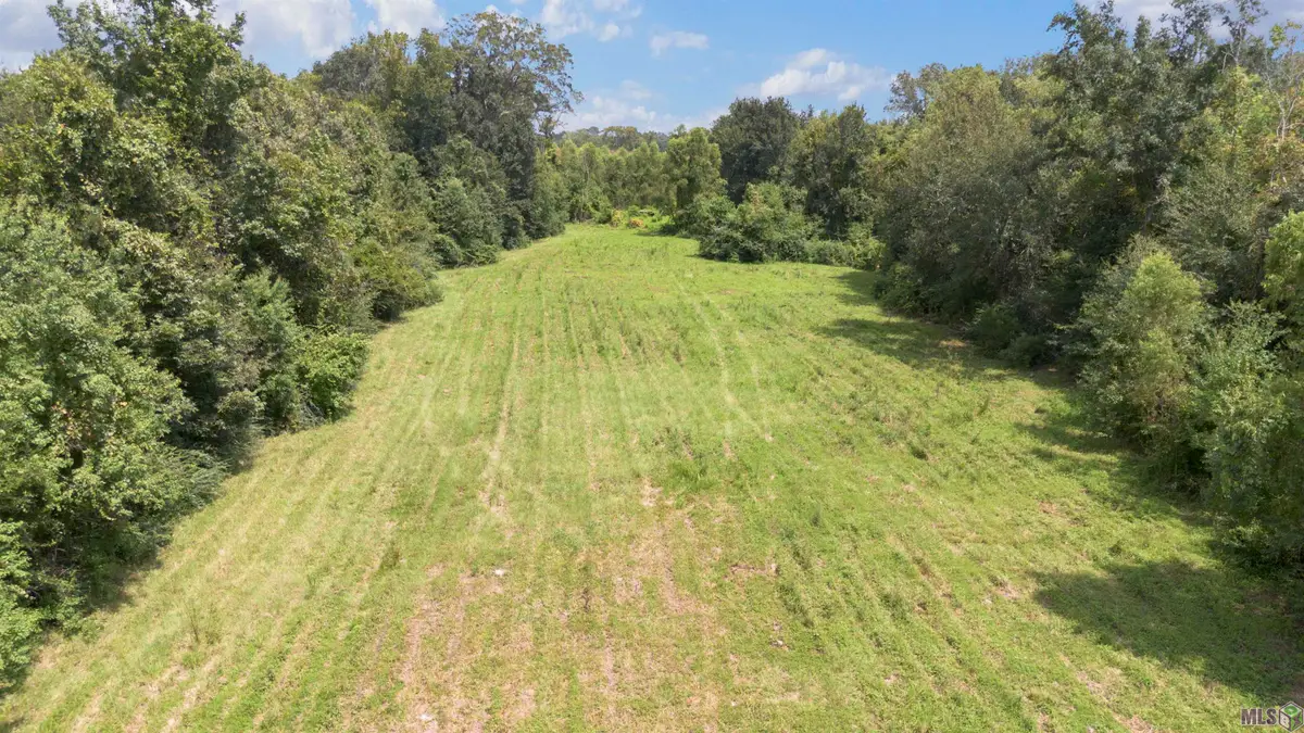 38365 La Ritz Rd, Prairieville, LA 70769 - Image #1