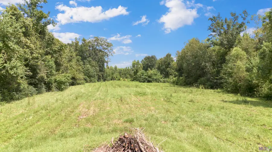 38365 La Ritz Rd, Prairieville, LA 70769 - Image #3