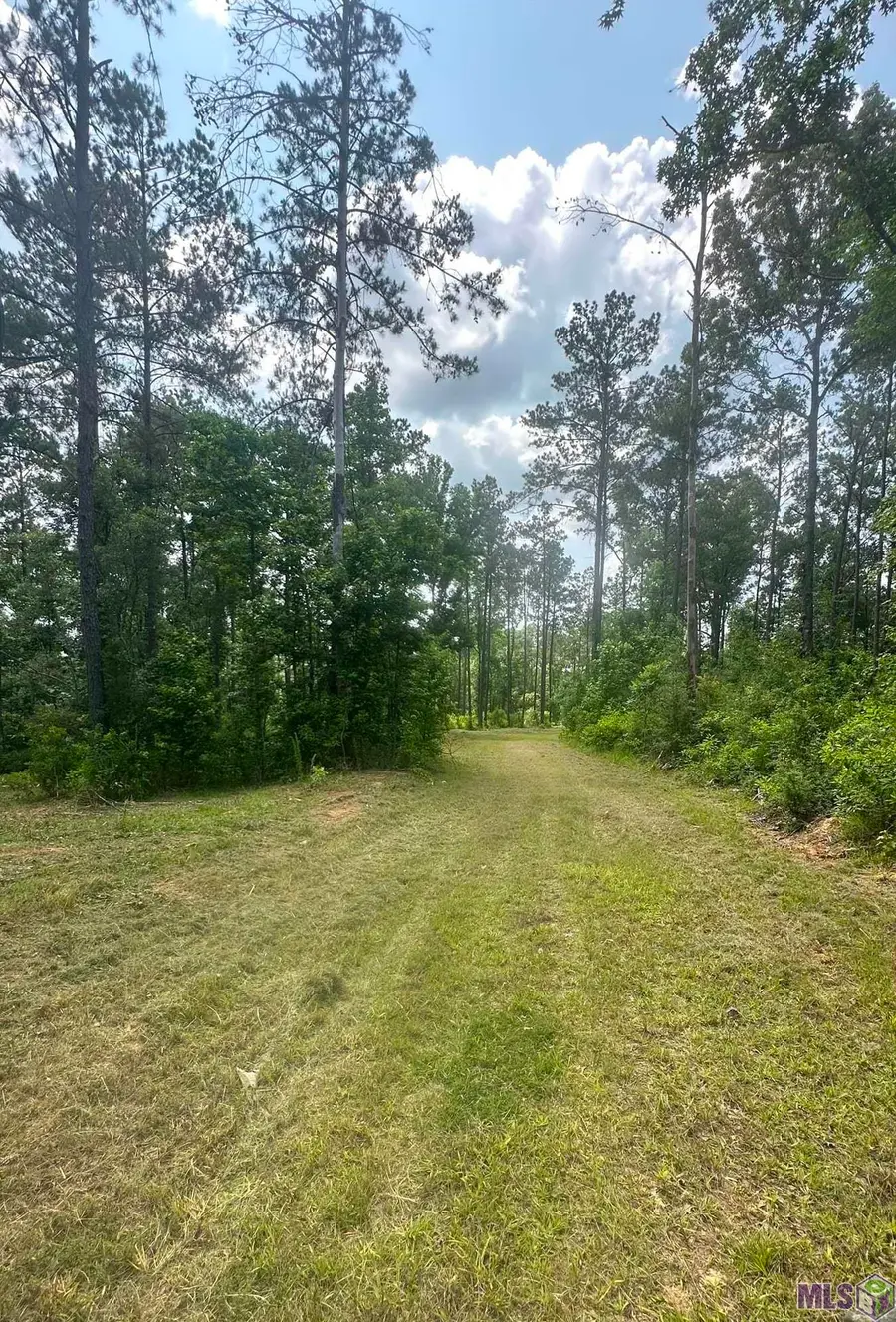 9139 Peterson Rd, Saint Francisville, LA 70775 - Image #2