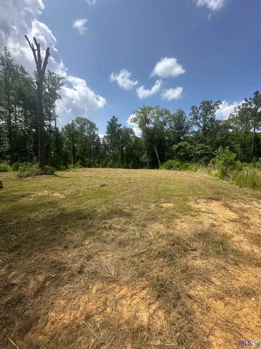 9139 Peterson Rd, Saint Francisville, LA 70775 - Image #3