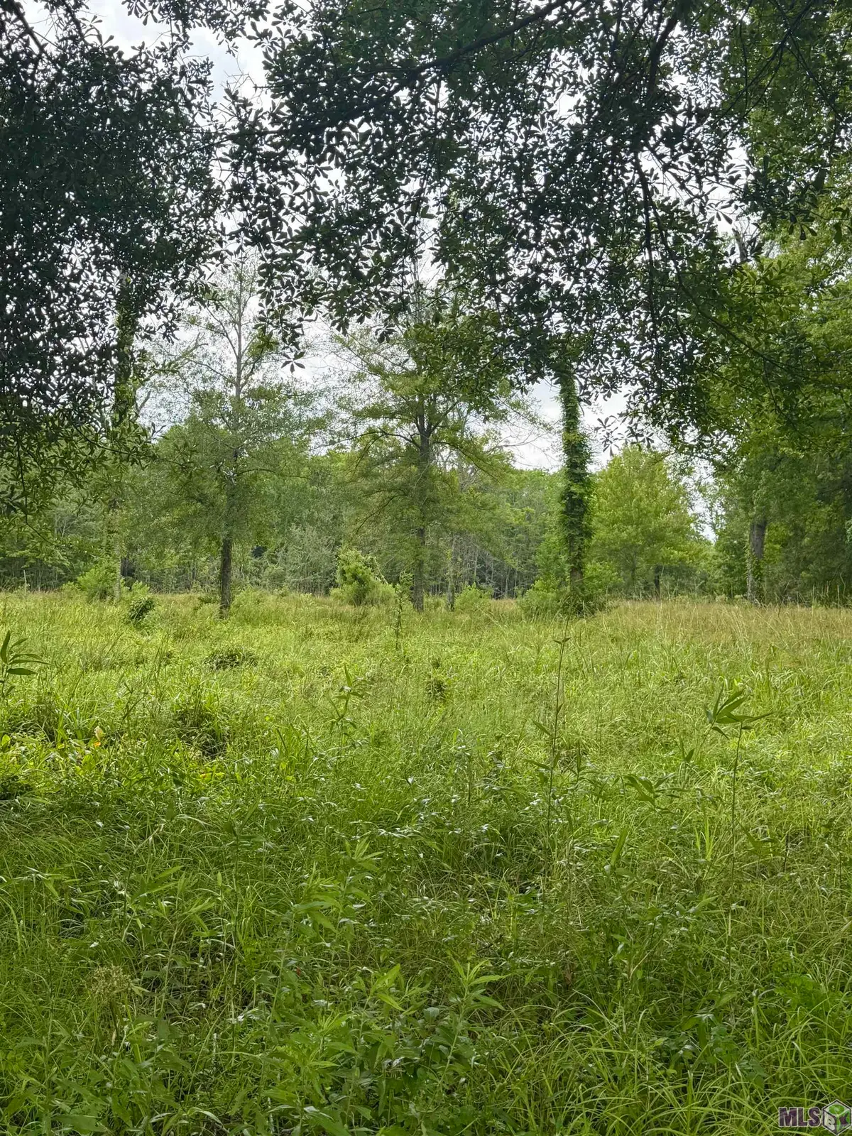 8724 Pettit Rd, Baker, LA 70714 - Image #1