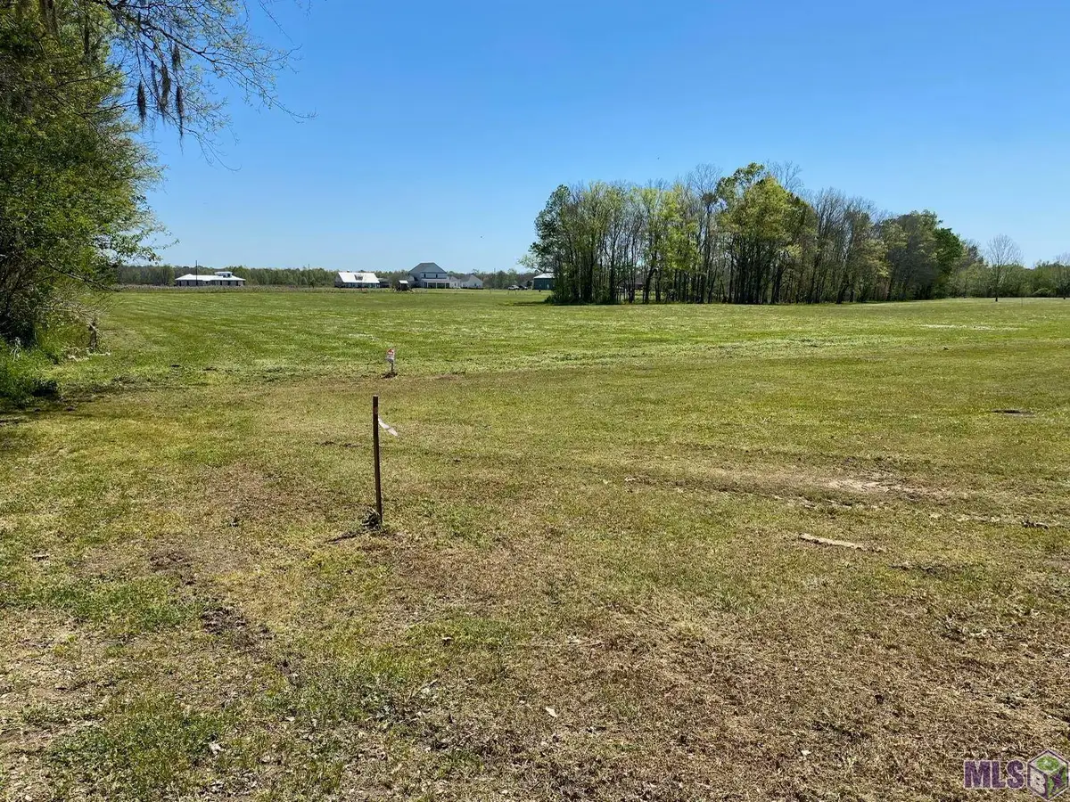 1096 Wilkinson Ln, Port Allen, LA 70767 - Image #1