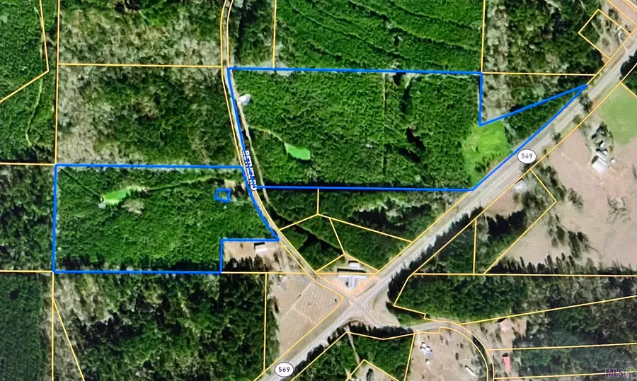 000 Hwy 569, Liberty, MS 39645 - Image #3