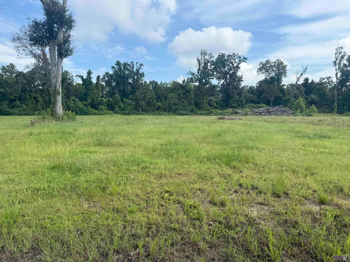 38354 N Robert Wilson Rd, Gonzales, LA 70737 - Image #1