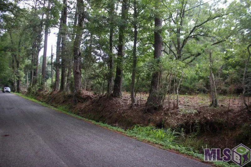 TBD Turner Rd, Ethel, LA 70730 - Image #1