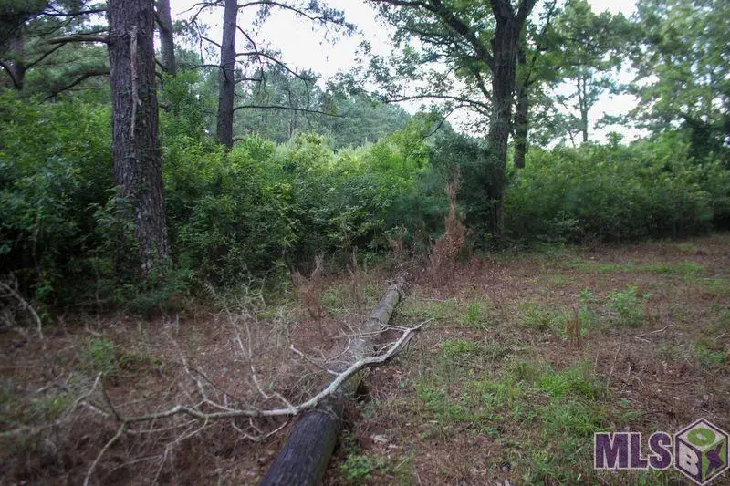 TBD Turner Rd, Ethel, LA 70730 - Image #2