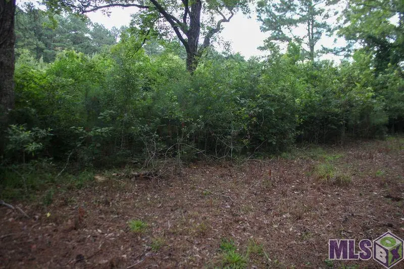 TBD Turner Rd, Ethel, LA 70730 - Image #3