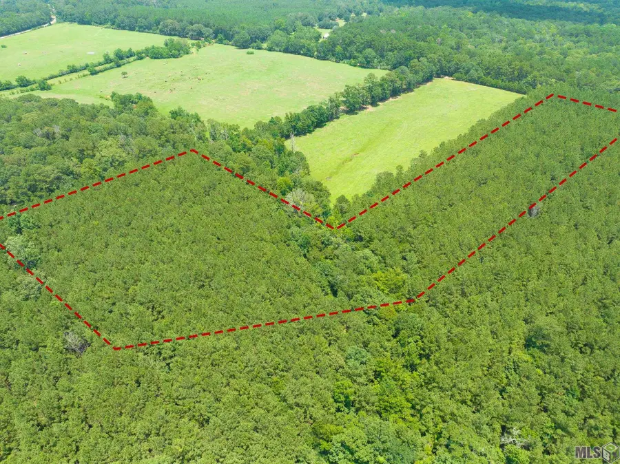 TBD Peterson Rd, Clinton, LA 70722 - Image #3