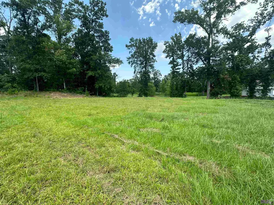 A-1 Swamp Rd, Prairieville, LA 70769 - #2