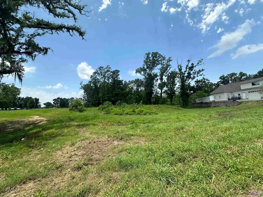 A-1 Swamp Rd, Prairieville, LA 70769 - #3