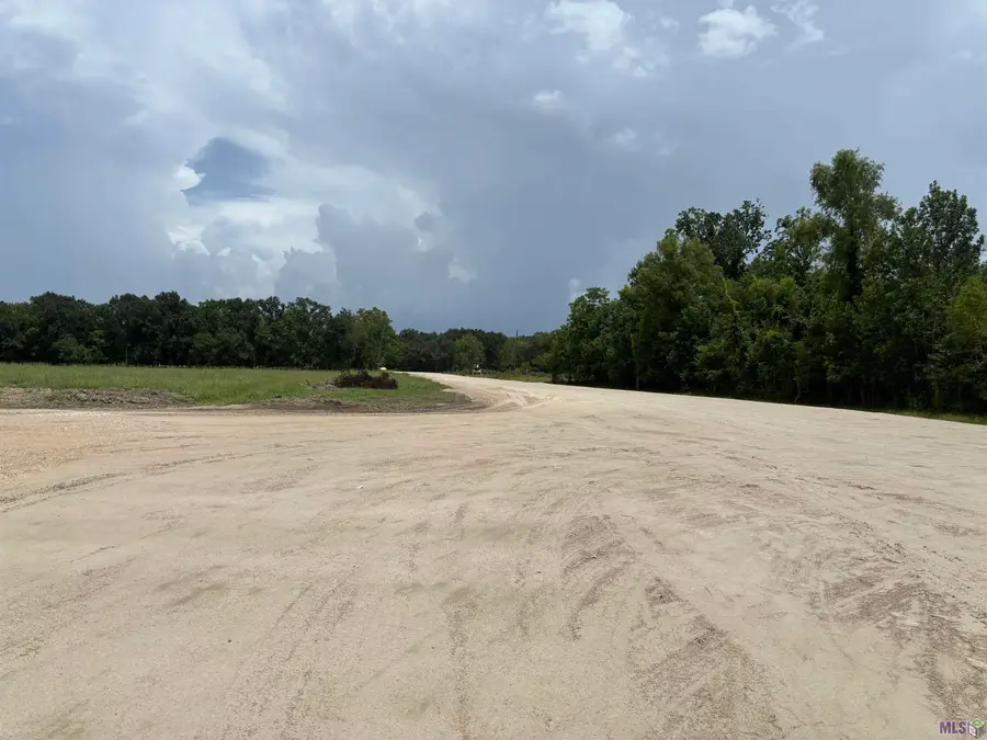 6549 Bowden Rd, Darrow, LA 70725 - #3