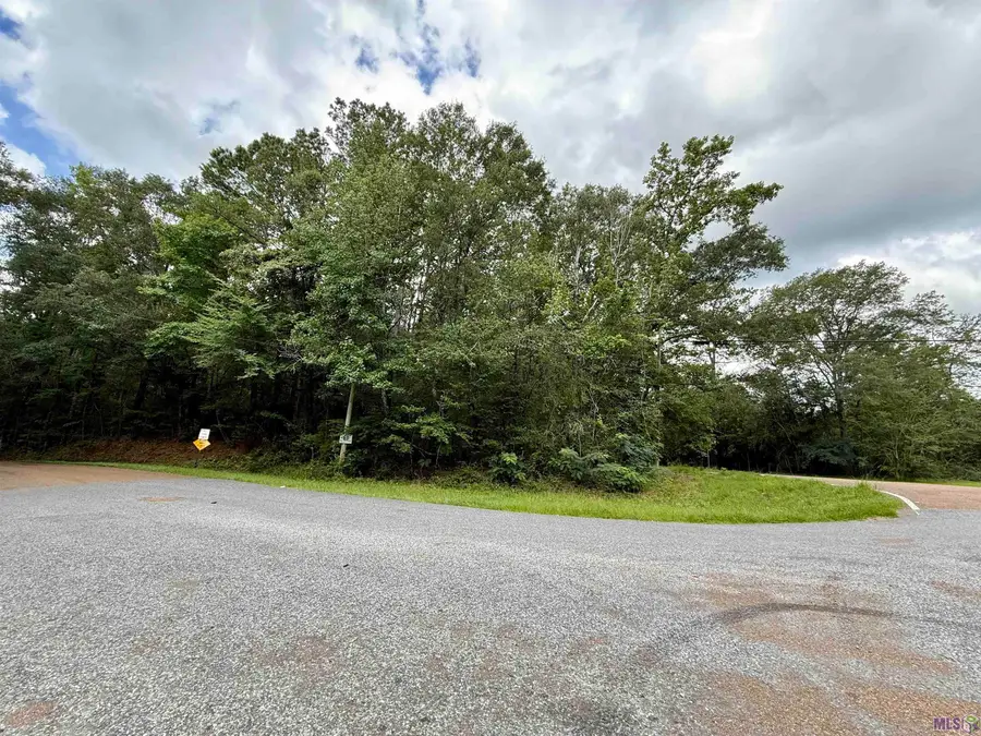 2194 Ms Hwy 570, Summit, MS 39666 - Image #3