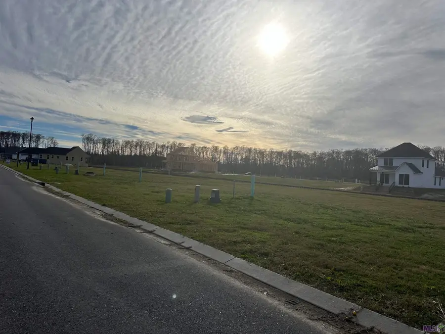 12856 St Lucia Dr, Maurepas, LA 70449 - Image #3