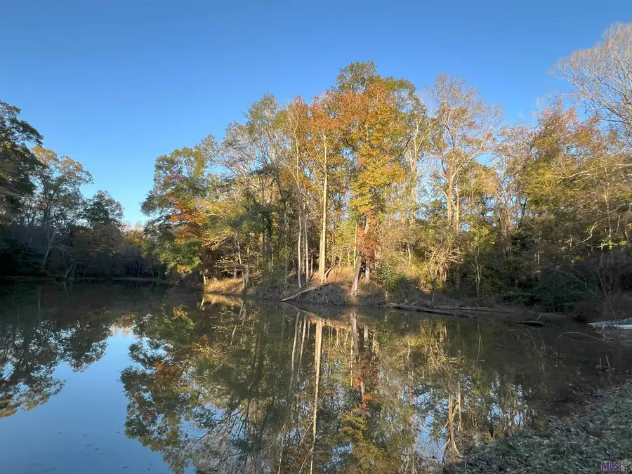 TBD (E. 246 Ac) Tunica Trace, Saint Francisville, LA 70775 - Image #2