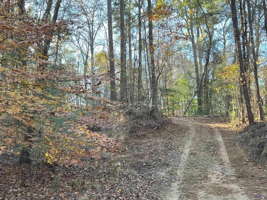 TBD (E. 246 Ac) Tunica Trace, Saint Francisville, LA 70775 - Image #3