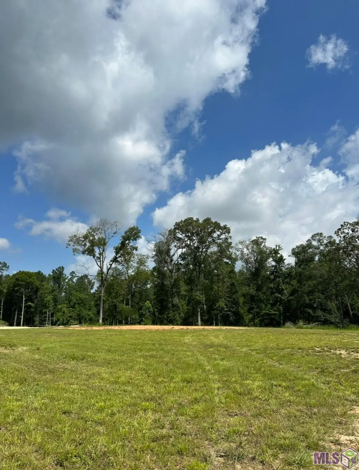 38510 Leggett Rd, Walker, LA 70785 - Image #1