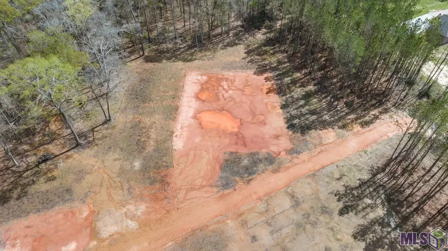 38510 Leggett Rd, Walker, LA 70785 - Image #2