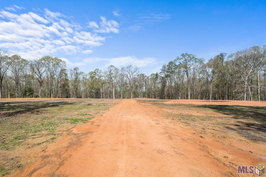 38510 Leggett Rd, Walker, LA 70785 - Image #3