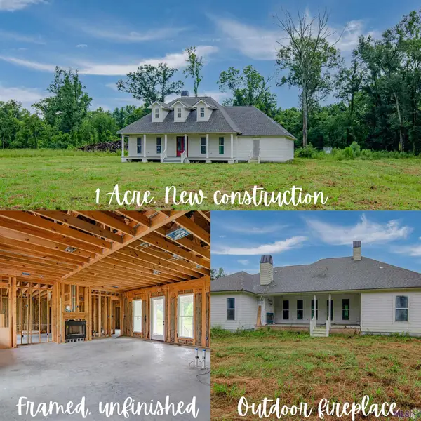 38384 N Robert Wilson Rd, Gonzales, LA 70737