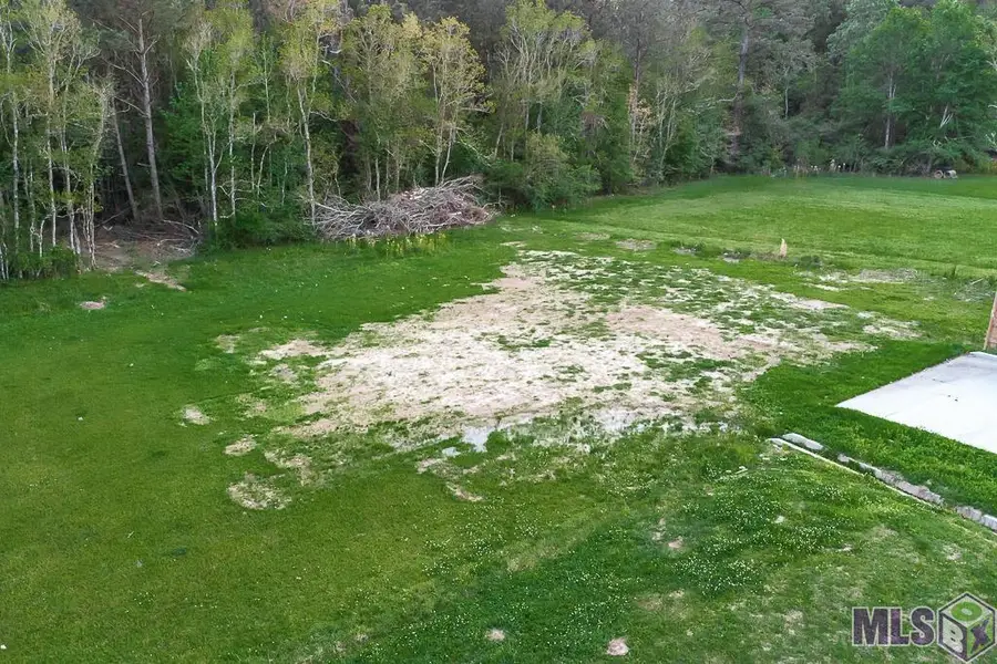 Tract 2-A La Hwy 42, Livingston, LA 70754 - Image #2