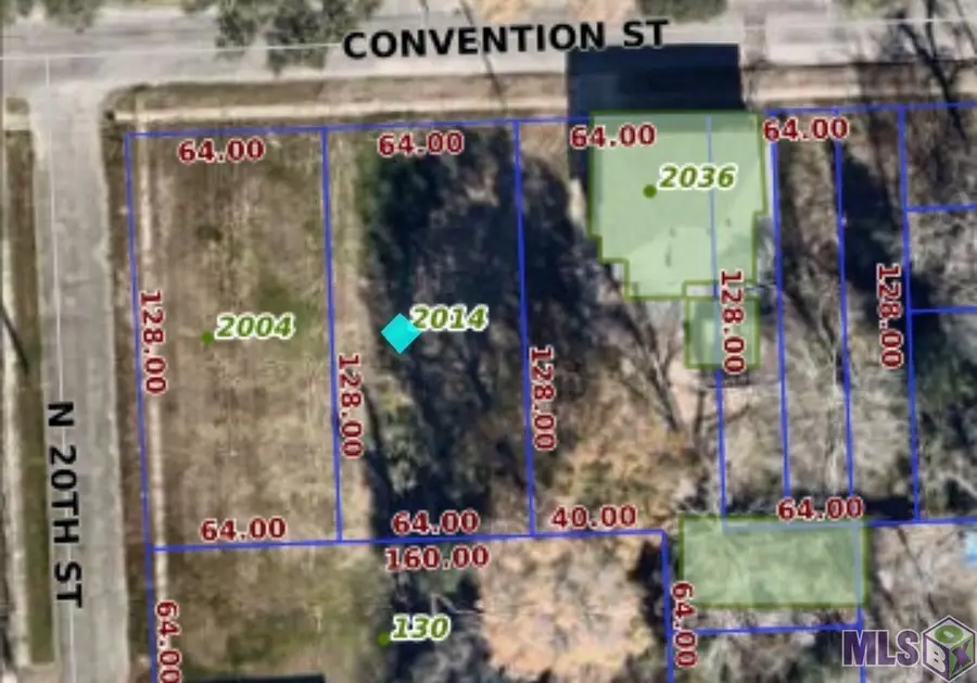 2014 Convention, Baton Rouge, LA 70806 - Image #3