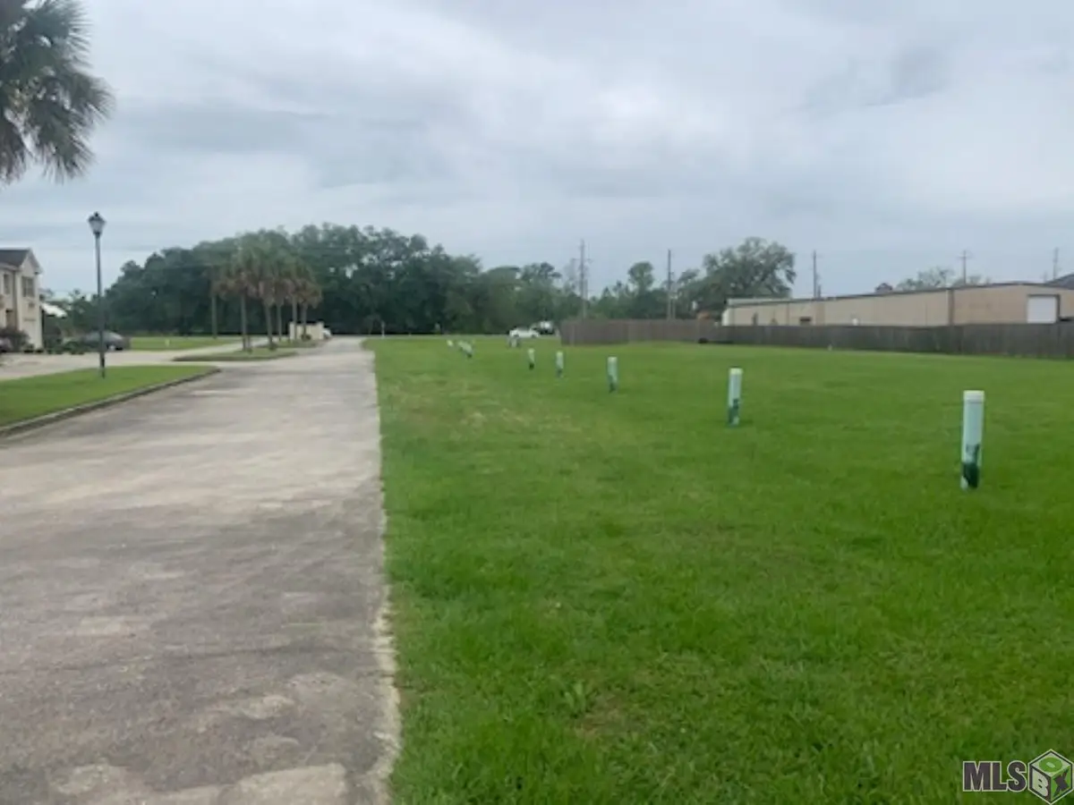 17309 & 17297 De Gage, Prairieville, LA 70769 - #1