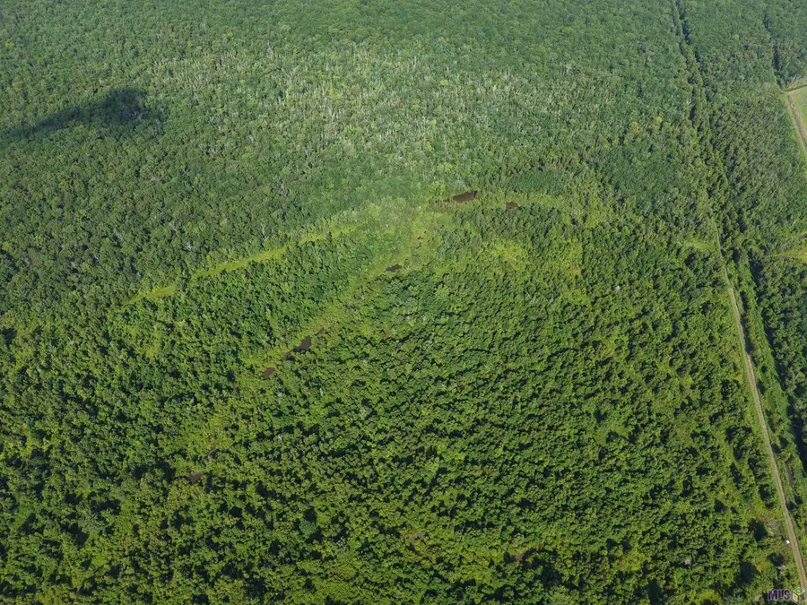 3672 Gayden Rd, Batchelor, LA 70715 - Image #3