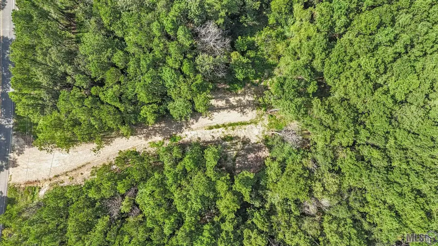 14383 Springfield Rd, Walker, LA 70785 - Image #2