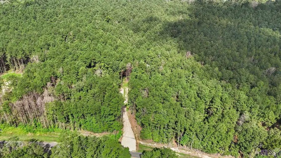 14383 Springfield Rd, Walker, LA 70785 - Image #3