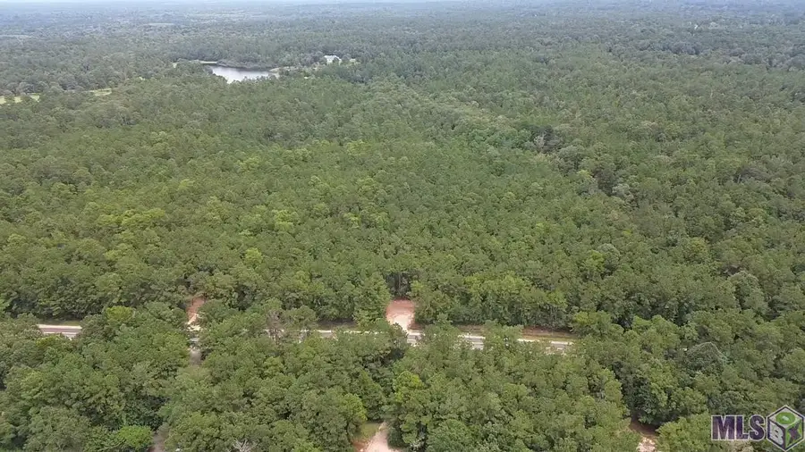 Tract A Isabel Swamp Road, Bush, LA 70431 - Image #2