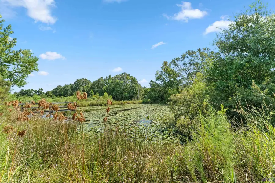 Tract L-1-C N Joor Rd, Zachary, LA 70791 - Image #3