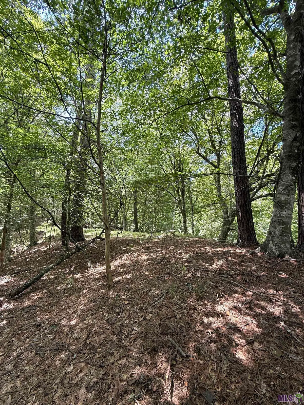 7735a Old Tunica Rd, Saint Francisville, LA 70775 - Image #1