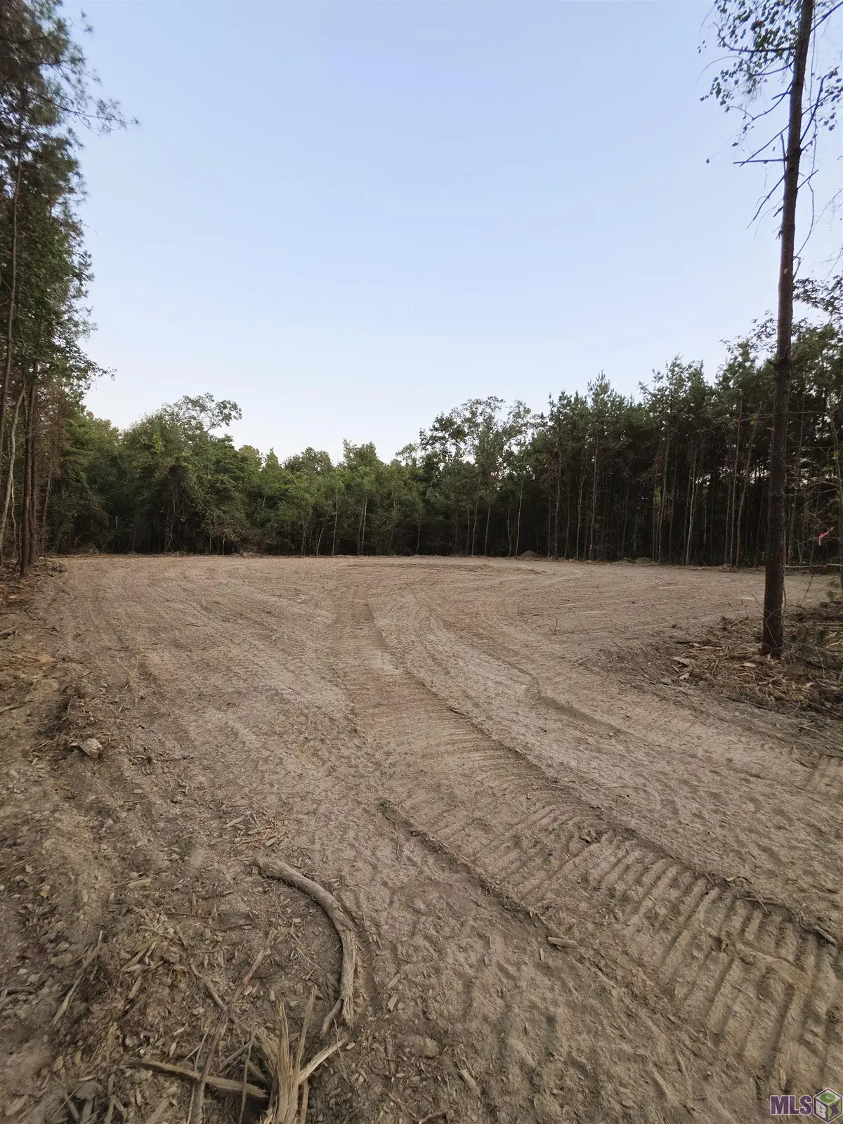 17261 Jack Allen Rd, Livingston, LA 70754 - Image #1