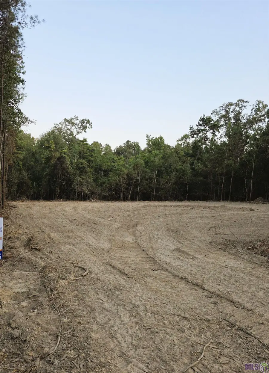 17261 Jack Allen Rd, Livingston, LA 70754 - Image #3