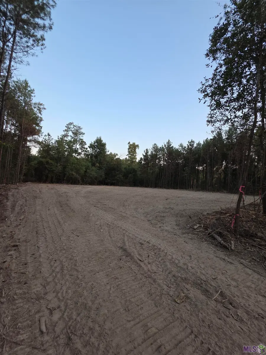 17267 Jack Allen Rd, Livingston, LA 70754 - Image #3