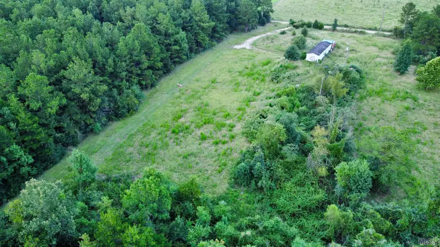 24390 Miller Rd, Livingston, LA 70754 - Image #3
