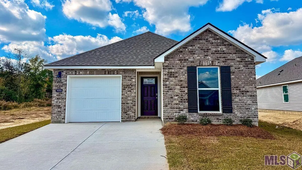 14253 Monmouth Ave, Denham Springs, LA 70726 - Image #1