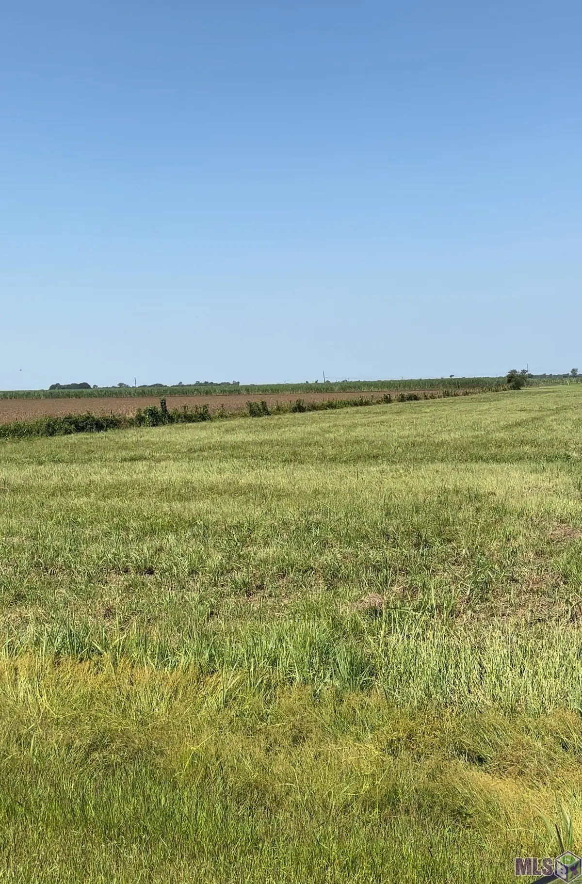 1225 Plumwood St, Port Allen, LA 70767 - #1