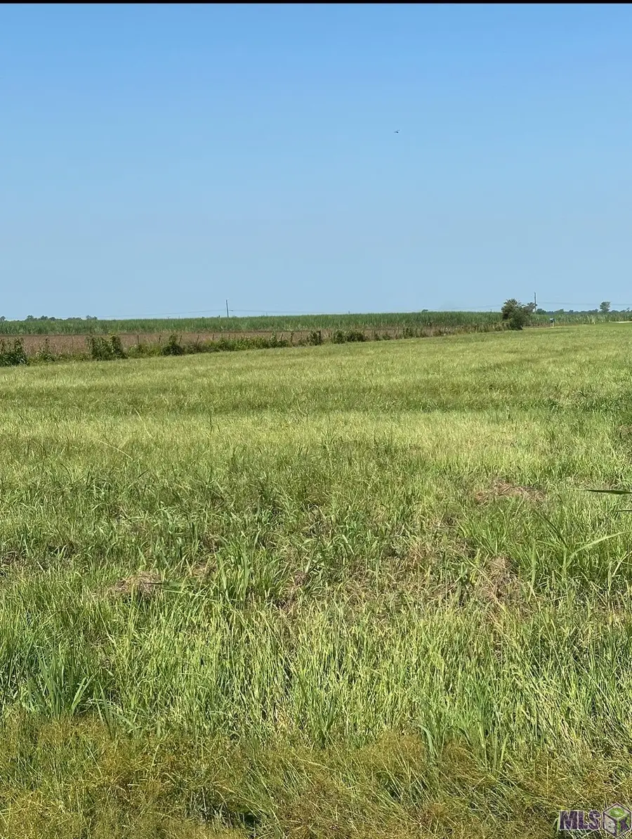 1225 Plumwood St, Port Allen, LA 70767 - #2