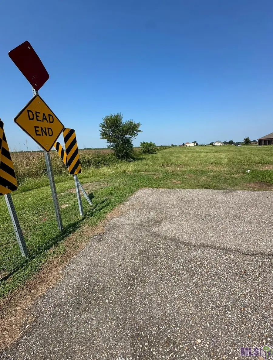 1225 Plumwood St, Port Allen, LA 70767 - #3