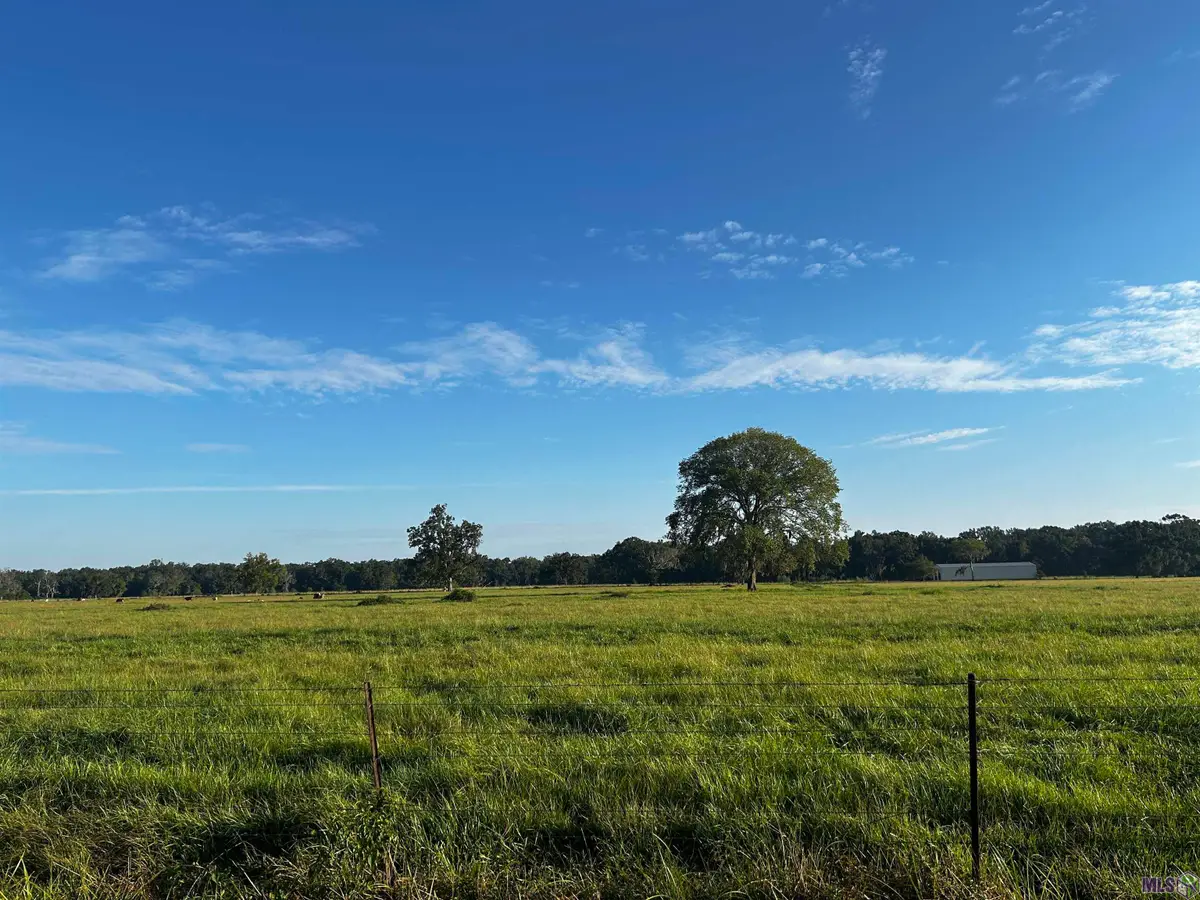 42296 Richard Waguespack Rd, Gonzales, LA 70737 - Image #1