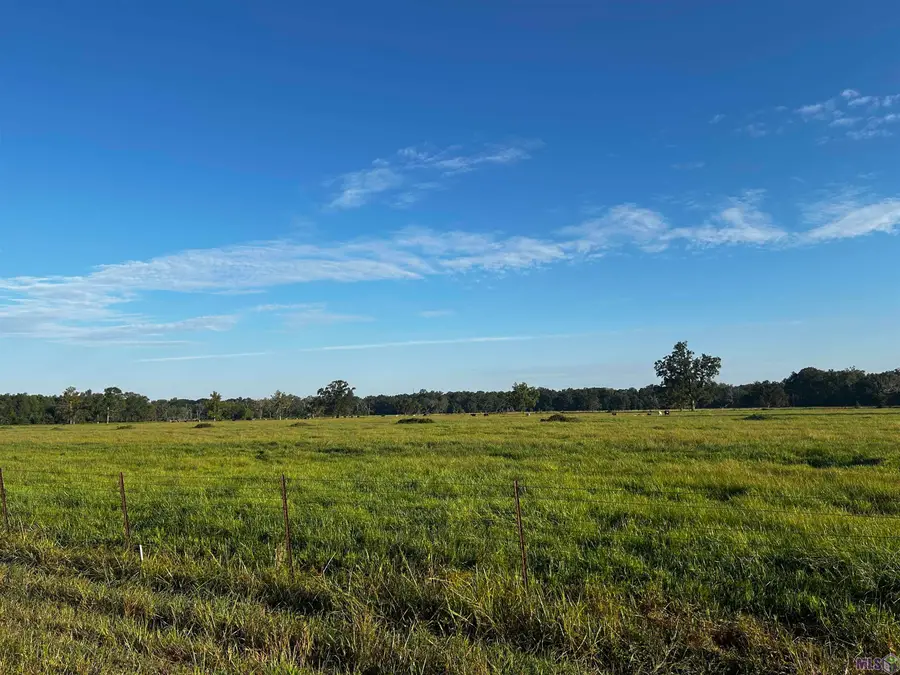 42296 Richard Waguespack Rd, Gonzales, LA 70737 - Image #3