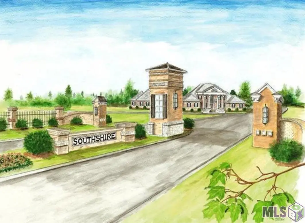 Lot 70 Natalies Way, Livingston, LA 70754 - #1