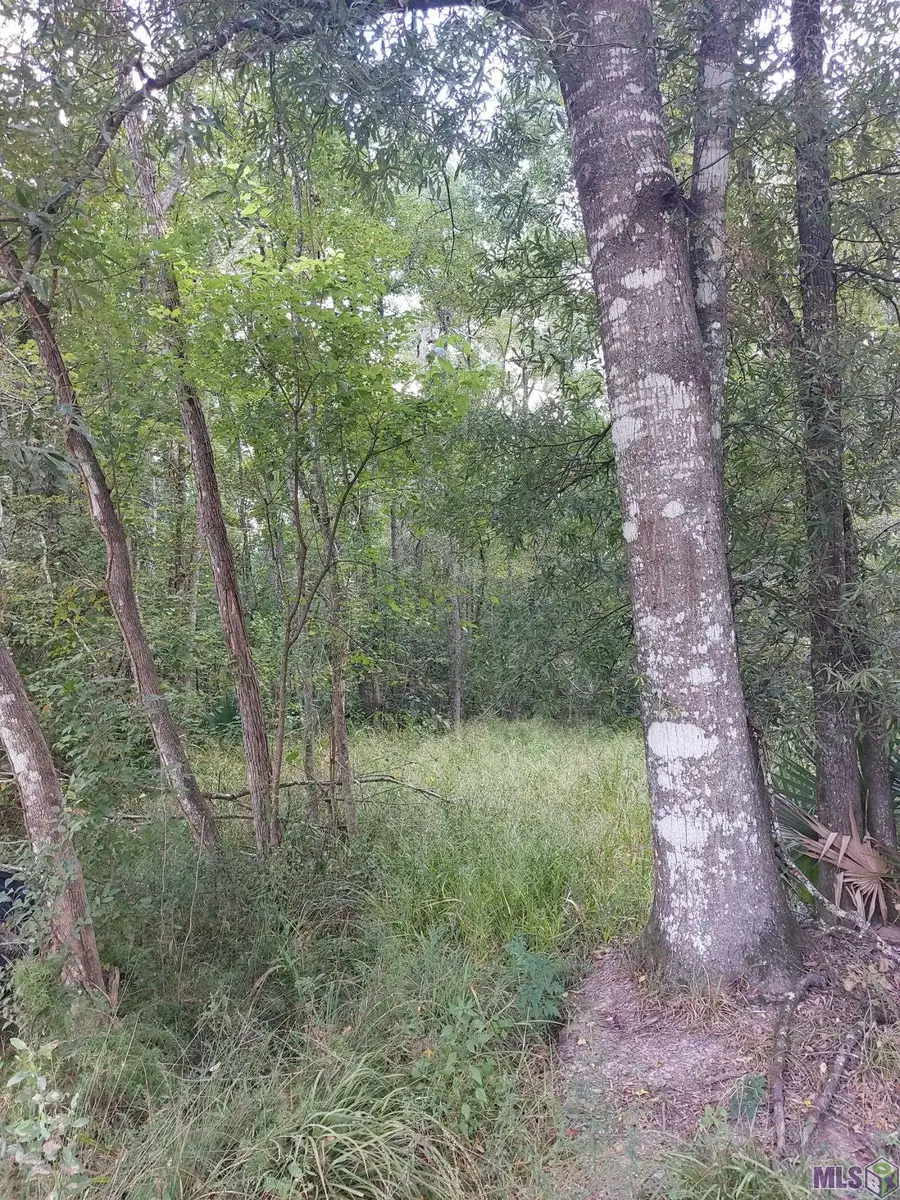 Old Winchester Dr, Denham Springs, LA 70706 - Image #2