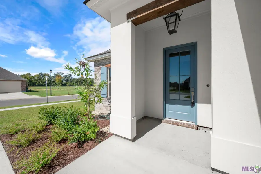 37260 Dulcito Ave, Prairieville, LA 70769 - Image #3