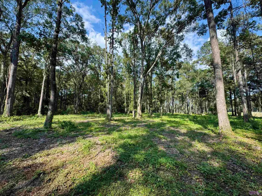 RS-4 La Hwy 16, Denham Springs, LA 70706 - Image #3