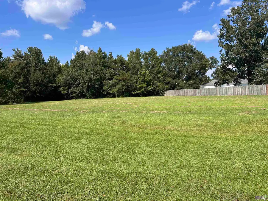 LOT 105-A Ola Dr, Denham Springs, LA 70706 - Image #2