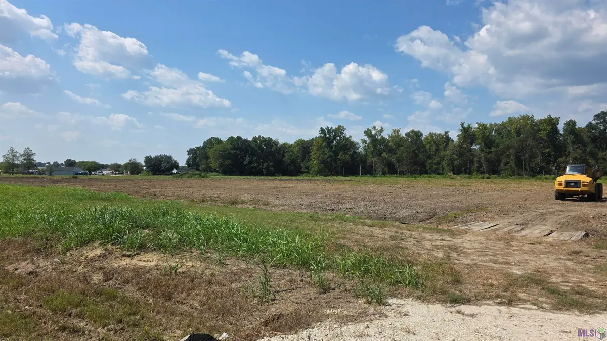 39224 W Edenborne Parkway, Gonzales, LA 70737 - Image #1