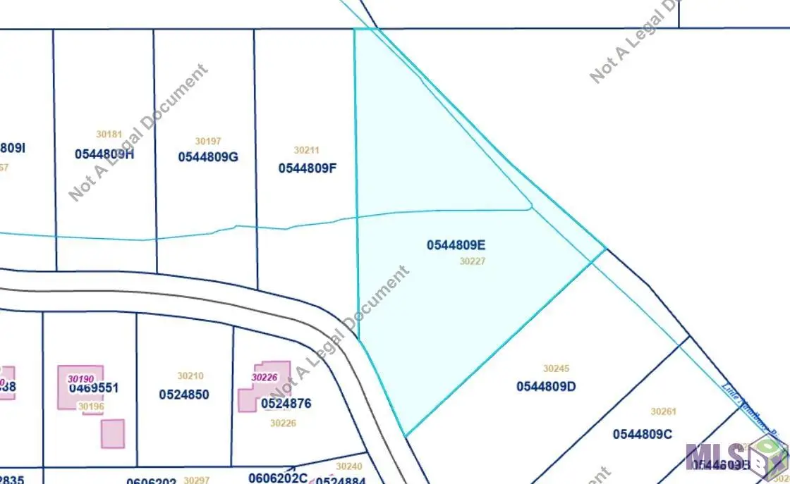 30227 Jericho Dr, Albany, LA 70711 - Image #1