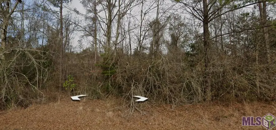 30227 Jericho Dr, Albany, LA 70711 - Image #2